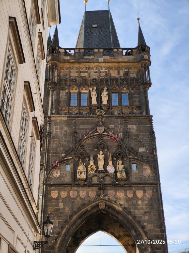 WhatsApp Image 2025-11-19 at 17.44.11