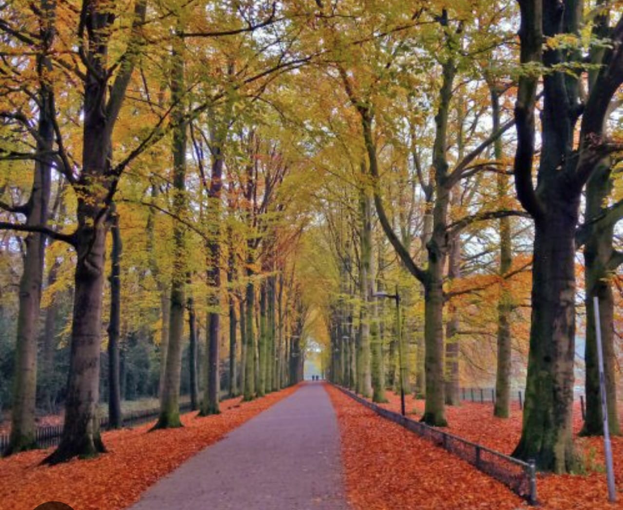 WhatsApp Image 2025-11-25 at 15.36.23 (3)