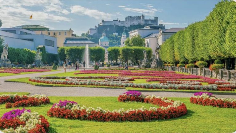 WhatsApp Image 2025-11-25 at 19.53.39 (1)