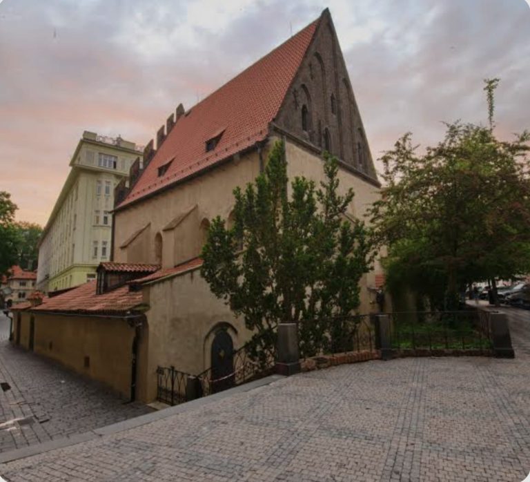 WhatsApp Image 2025-11-26 at 19.57.35 (2)