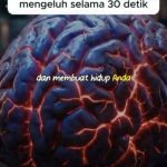 WhatsApp Image 2026-09-21 at 09.50.09