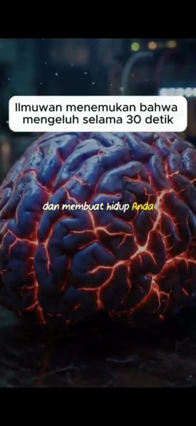 WhatsApp Image 2026-09-21 at 09.50.09