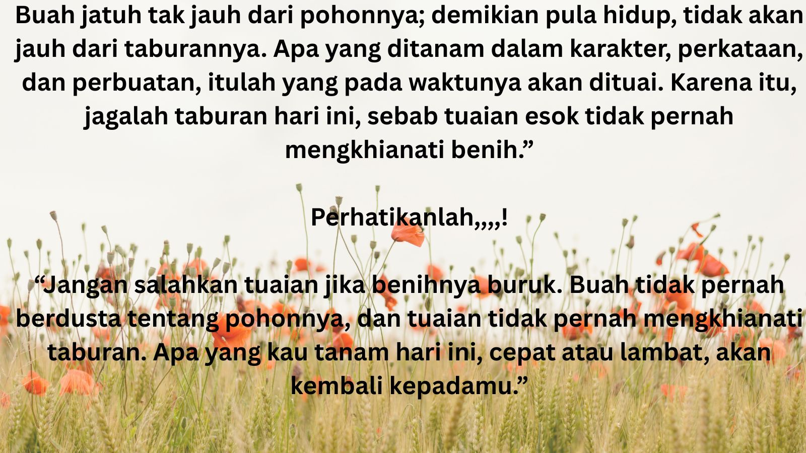 Buah jatuh tak jauh dari pohonnya; demikian pula hidup, tidak akan jauh dari taburannya. Apa yang ditanam dalam karakter, perkataan, dan perbuatan, itulah yang pada waktunya akan dituai. Karena it (1)