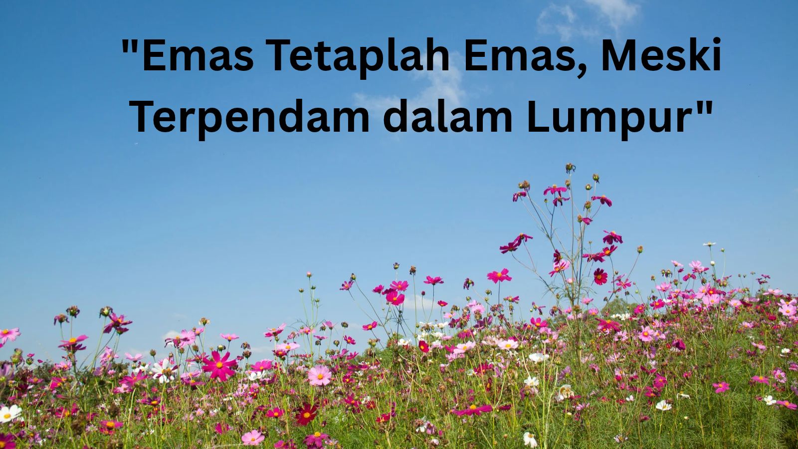 _Emas Tetaplah Emas, Meski Terpendam dalam Lumpur_