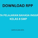 RPP 8